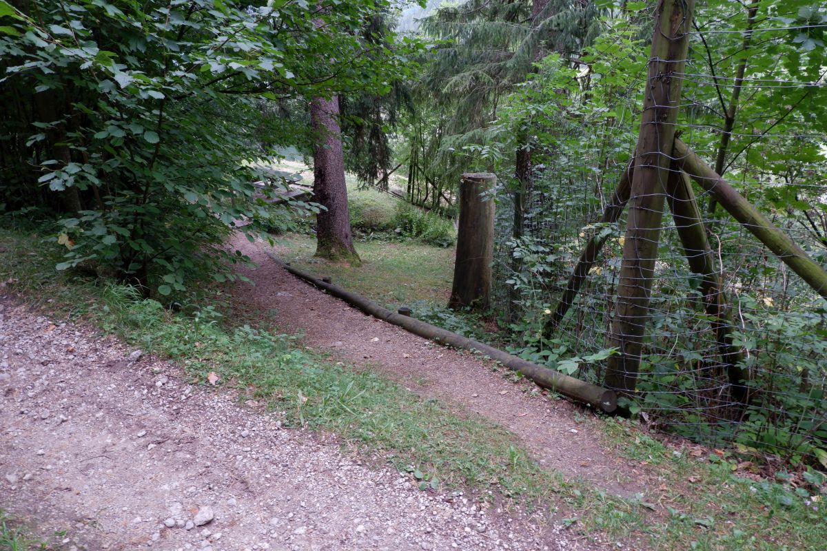 schwarzau naturpark kleinerunde 031