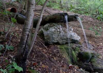 schwarzau naturpark kleinerunde 033
