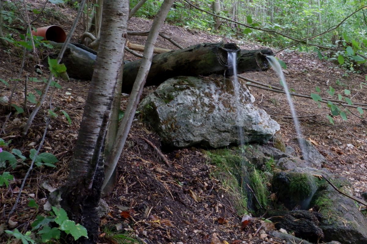 schwarzau naturpark kleinerunde 033
