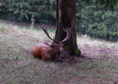 schwarzau naturpark kleinerunde 035