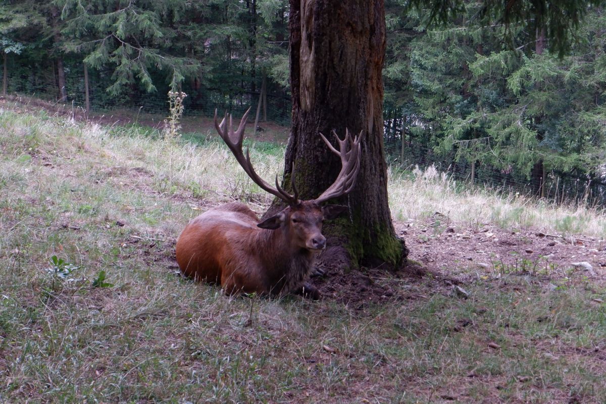 schwarzau naturpark kleinerunde 035