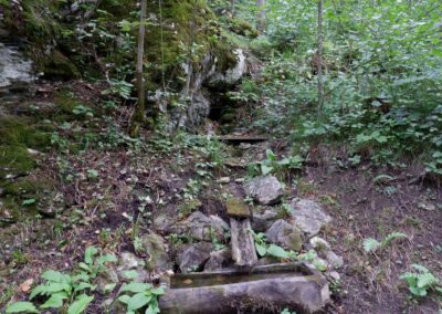 schwarzau naturpark kleinerunde 038