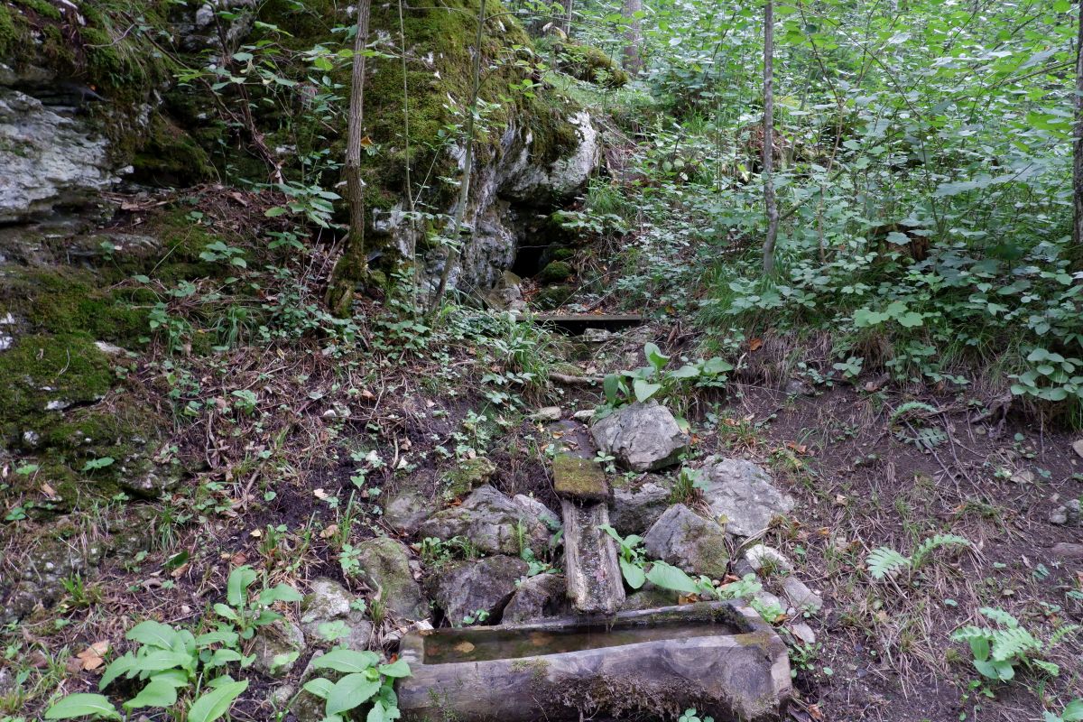 schwarzau naturpark kleinerunde 038