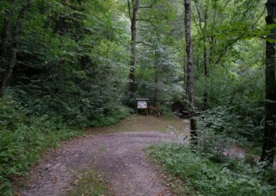Kleine Runde durch den Naturpark Falkenstein in Schwarzau im Gebirge