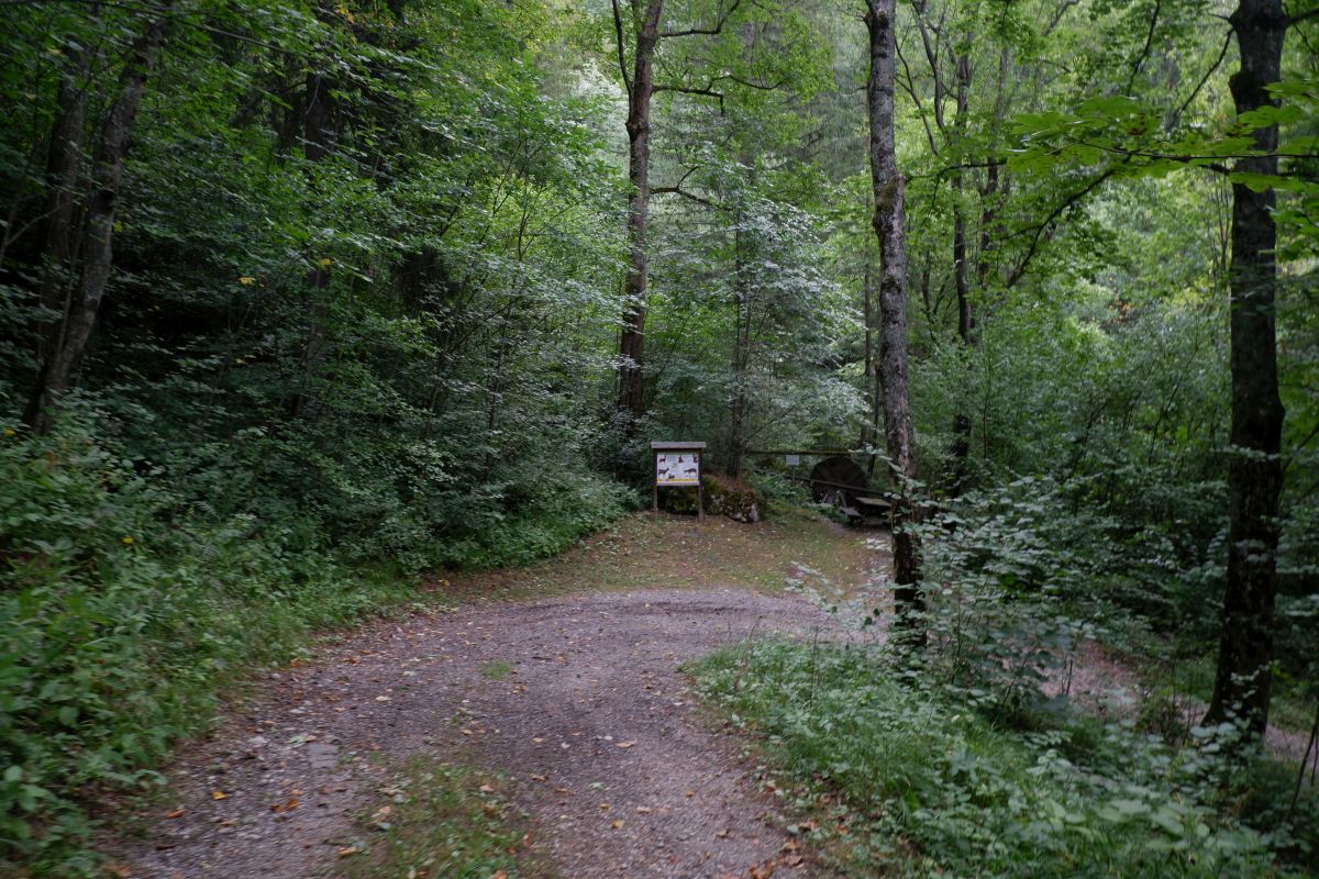 Kleine Runde durch den Naturpark Falkenstein in Schwarzau im Gebirge