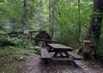 schwarzau naturpark kleinerunde 040