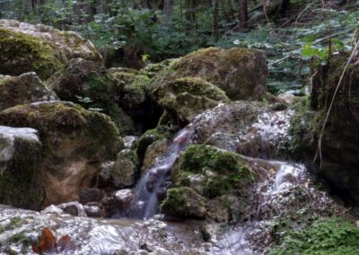 schwarzau naturpark kleinerunde 042