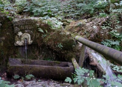 schwarzau naturpark kleinerunde 043