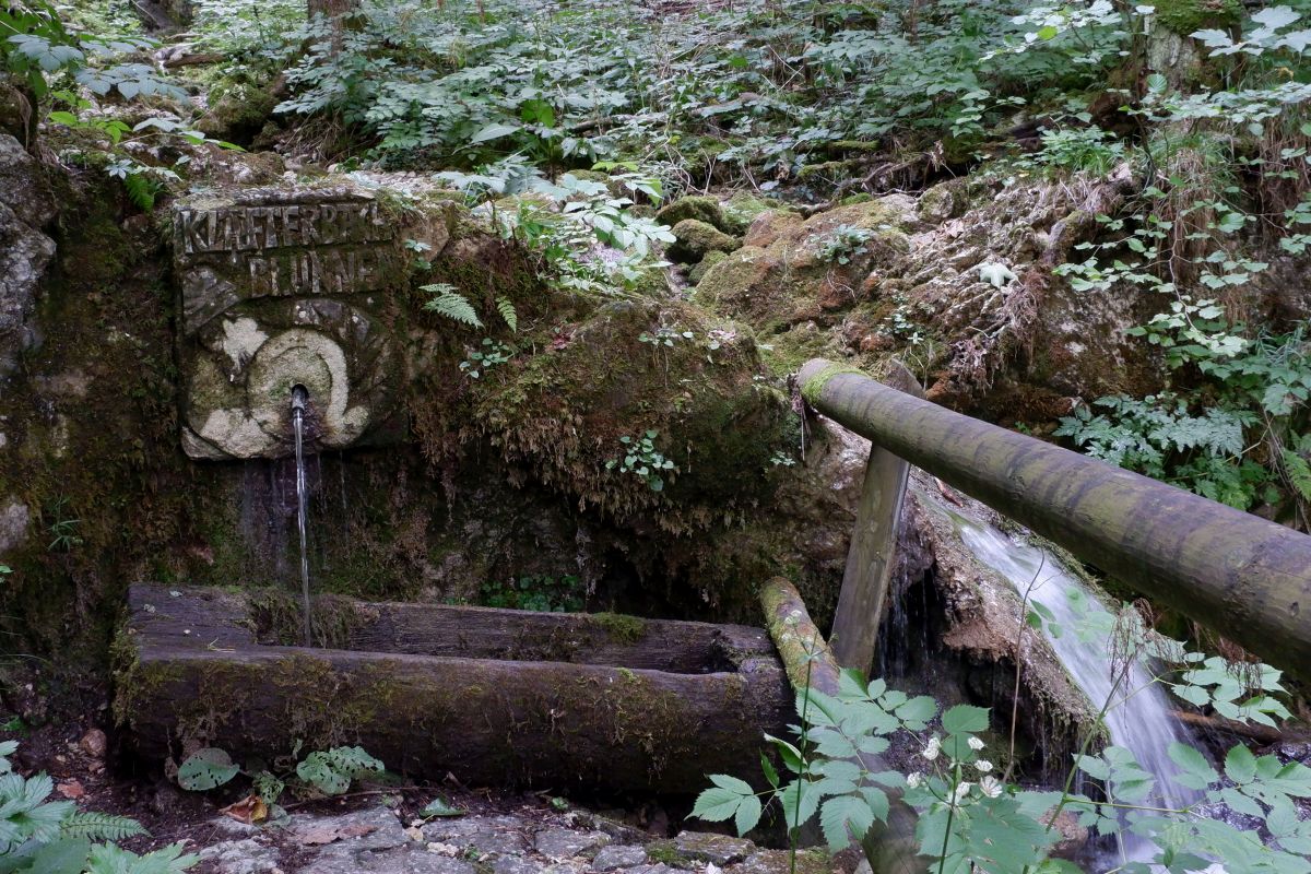 schwarzau naturpark kleinerunde 043