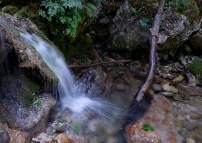 schwarzau naturpark kleinerunde 044