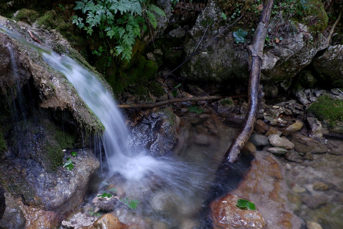 schwarzau naturpark kleinerunde 044