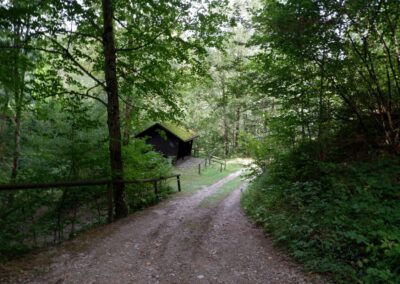 Kleine Runde durch den Naturpark Falkenstein in Schwarzau im Gebirge