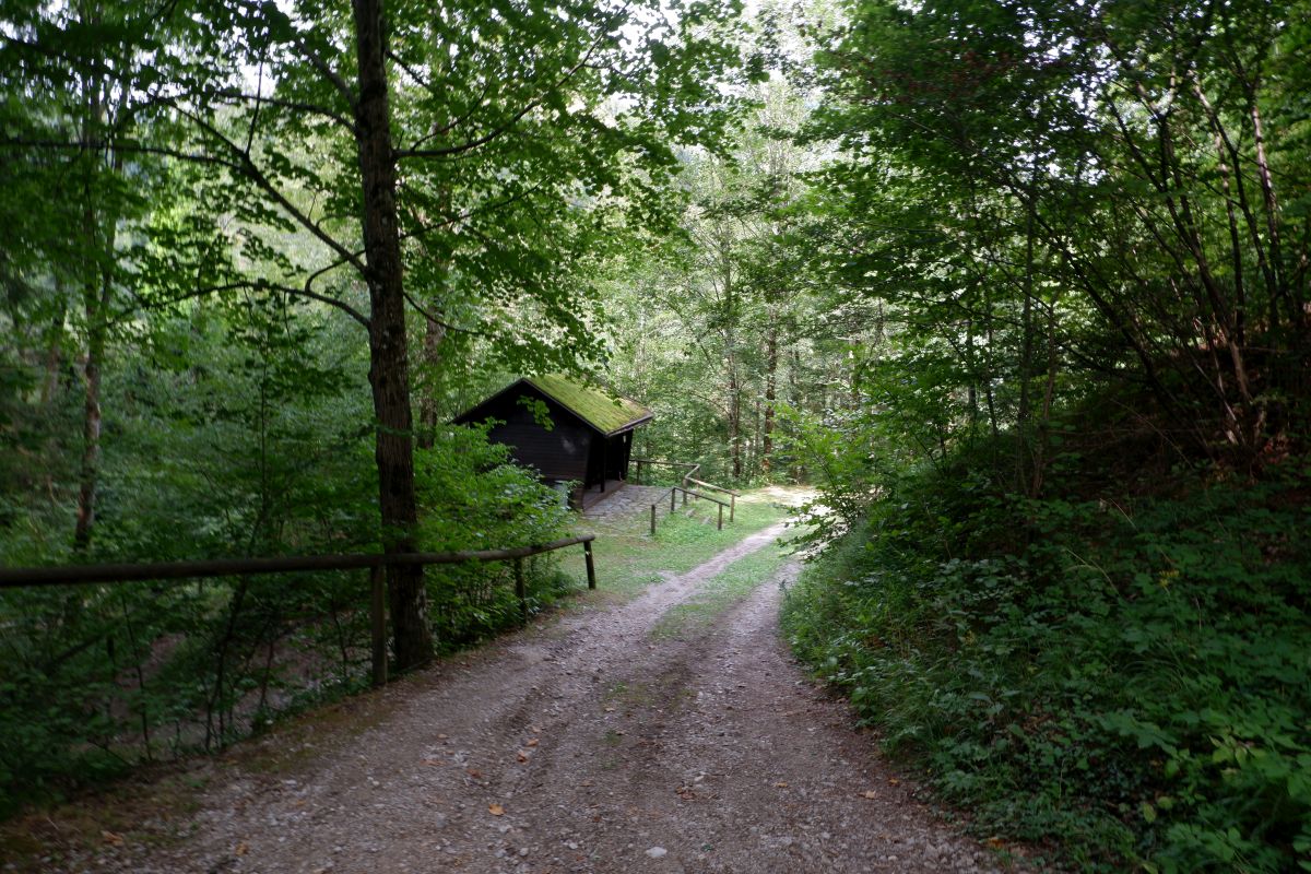 Kleine Runde durch den Naturpark Falkenstein in Schwarzau im Gebirge