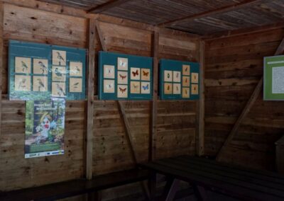 Kleine Runde durch den Naturpark Falkenstein in Schwarzau im Gebirge