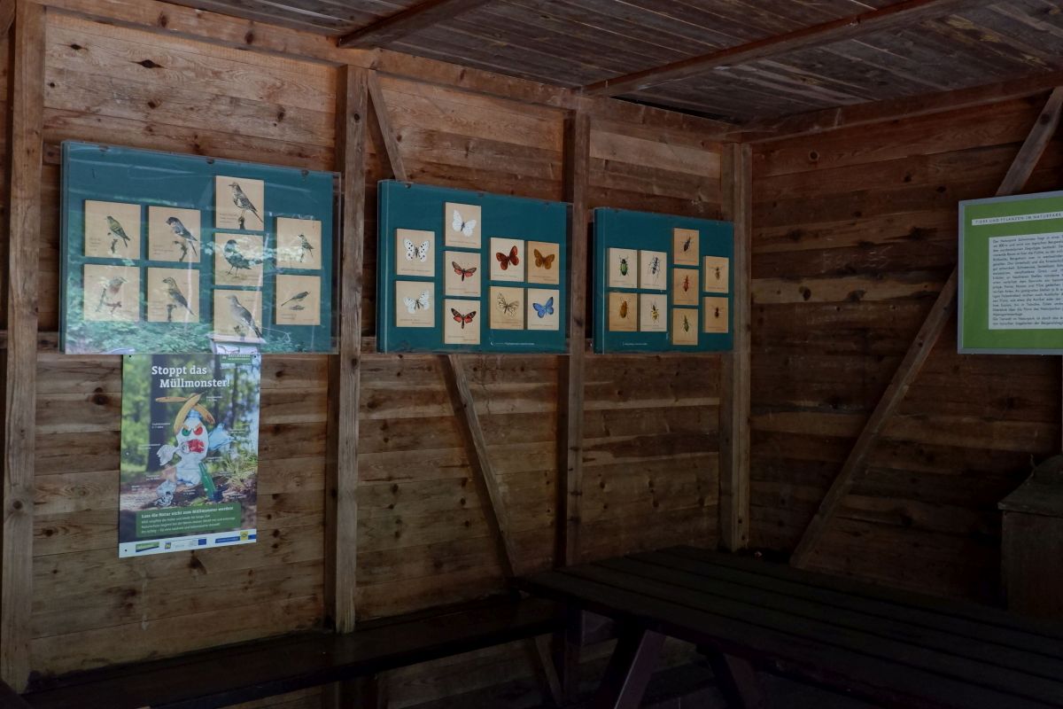 Kleine Runde durch den Naturpark Falkenstein in Schwarzau im Gebirge