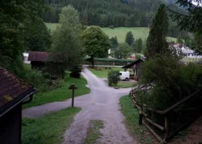 Kleine Runde durch den Naturpark Falkenstein in Schwarzau im Gebirge