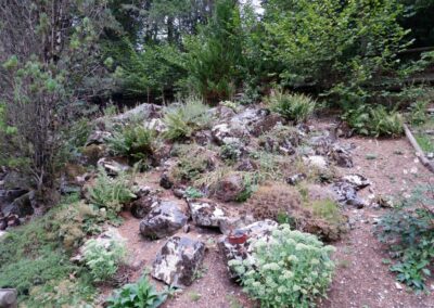 Kleine Runde durch den Naturpark Falkenstein in Schwarzau im Gebirge